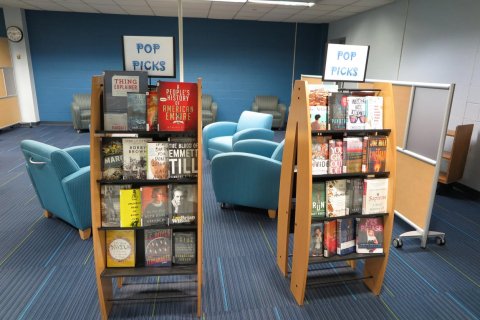 Pop Picks shelves