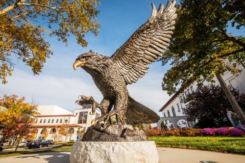 Hawk Statue on a sunny day