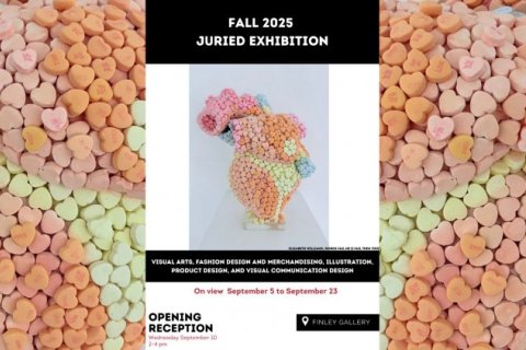 Visual Arts, Fashion Design and Merchandising, Illustration, Product Design, and Visual Communication Design