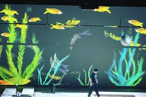 When Dance, Art, and Science Converge: Memoir of a Zebrafish