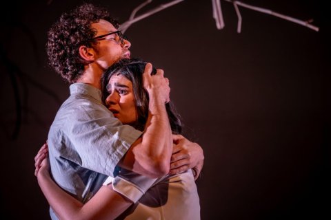CARTonly-TNDN_“Troilus and Cressida”.jpg