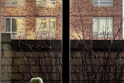 A Granny Smith apple sits at the bottom of a large windowsill