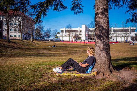 A college student sits on a blanket in a grassy field underneath a tree and watches the activity around him