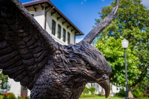 photo with hawk statue head and wings with a cream-colored building and a tree in the background