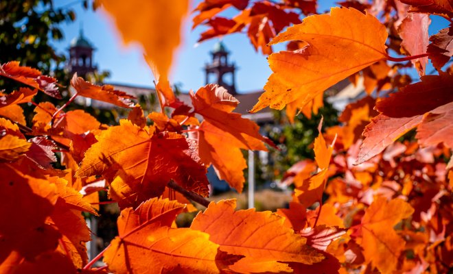 Orange leaves in the foreground with a bell tower in the background