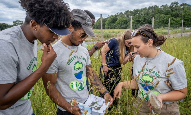 Students conducting research in a field