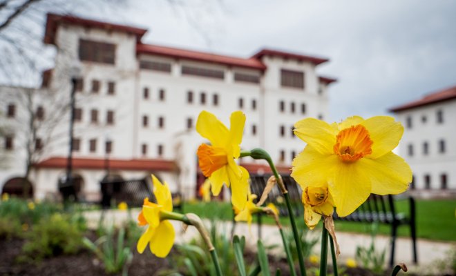 Exterior of Feliciano building