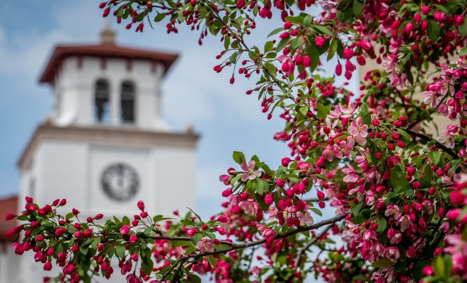 Flowers in the foreground and Montclair's clock tower in the background.
