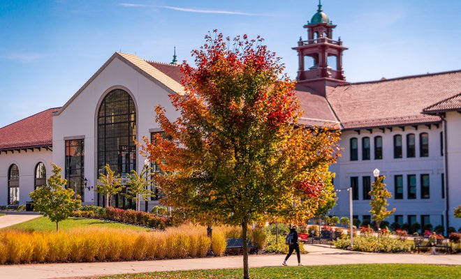 This picture shows a tree with fall-colored leaves in front of Cole Hall.