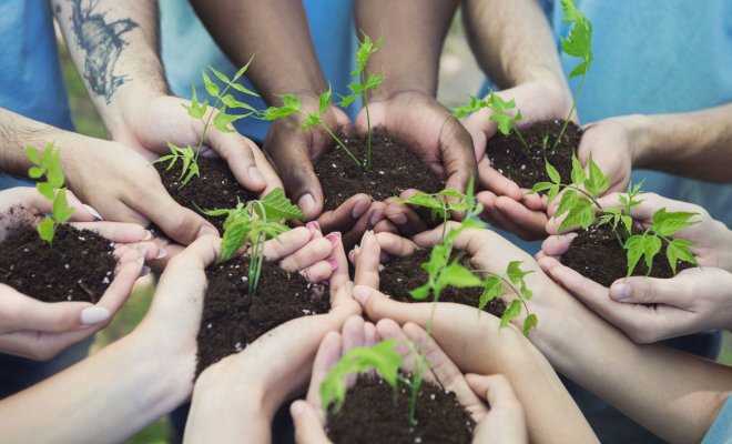 hands holding soil with plant seedlings