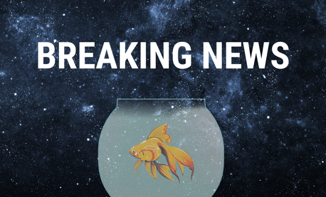A fish in a fishbowl floating in space with a Breaking News banner