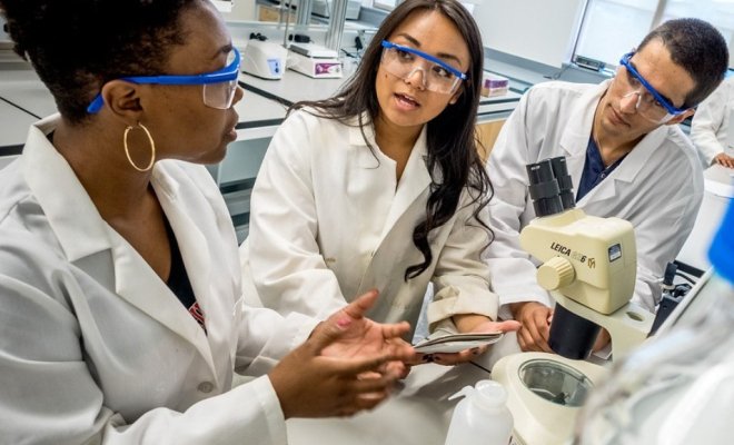 CELS_students-in-lab_120717
