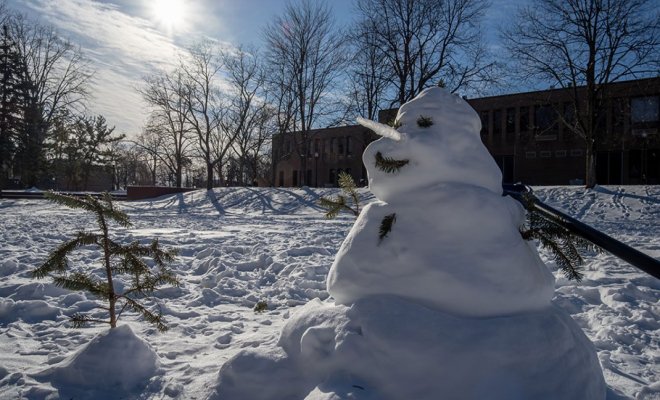snowman on sunny day