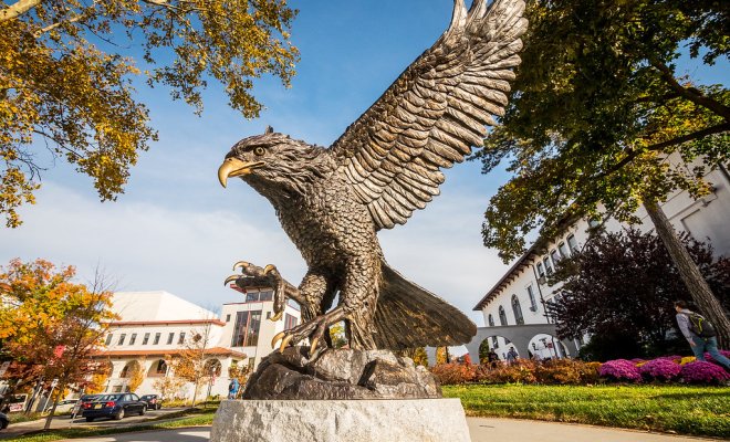 Hawk Statue on a sunny day