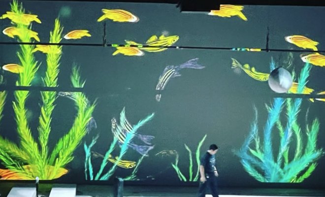 When Dance, Art, and Science Converge: Memoir of a Zebrafish