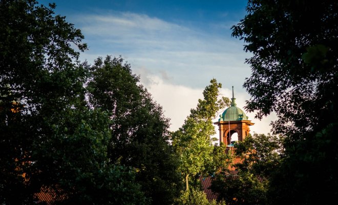 Bell tower partially visible behind trees