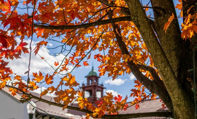 Vibrant orange and red autumn leaves frame a campus building with a bell tower beneath a bright blue sky.