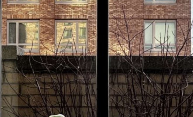 A Granny Smith apple sits at the bottom of a large windowsill