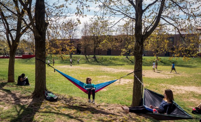 Hammock