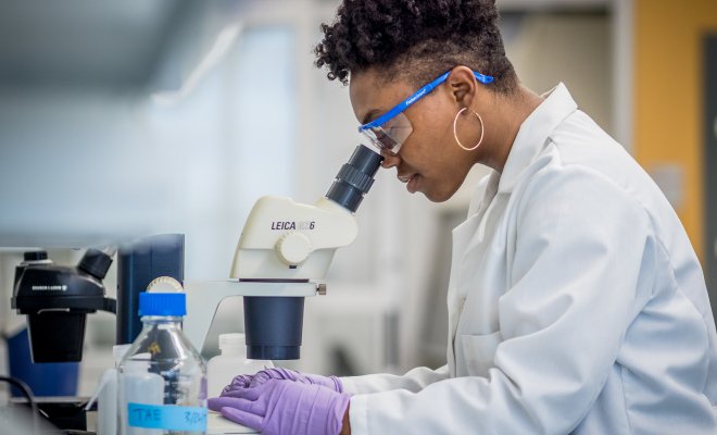 Researcher uses a microscope at a laboratory workstation.