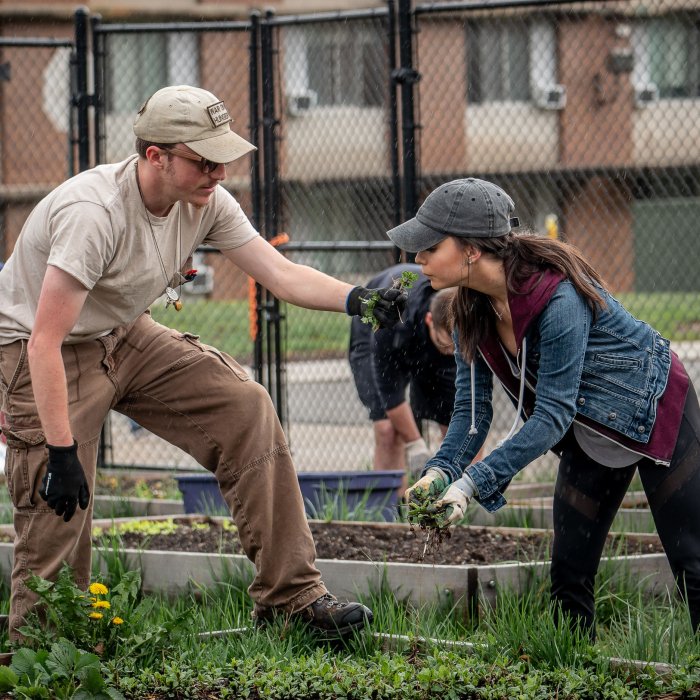 Former Garden Manager, Chris Snyder, shows a student early season herb plants that have sprouted as they prepare the garden beds for the growing season.