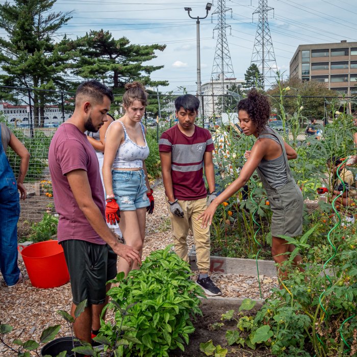Garden Manager, Brittney Portes, points out a plant to a group of student gardeners.