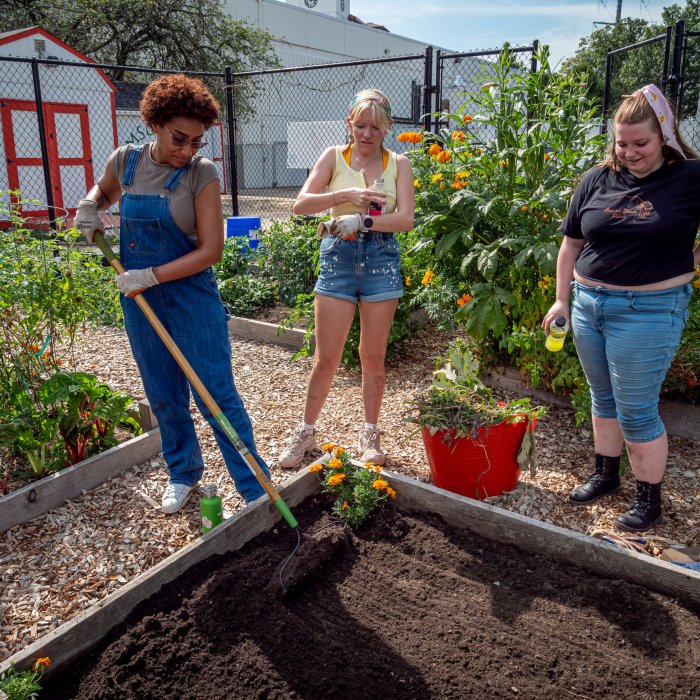 Three students standing around a raised bed while one rakes the soil in the bed.