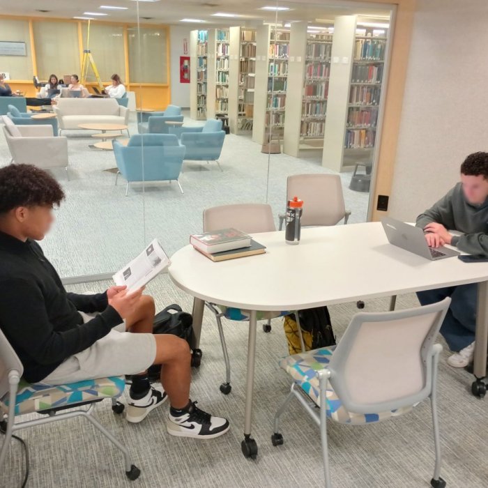two students sitting at a desk in a study pod