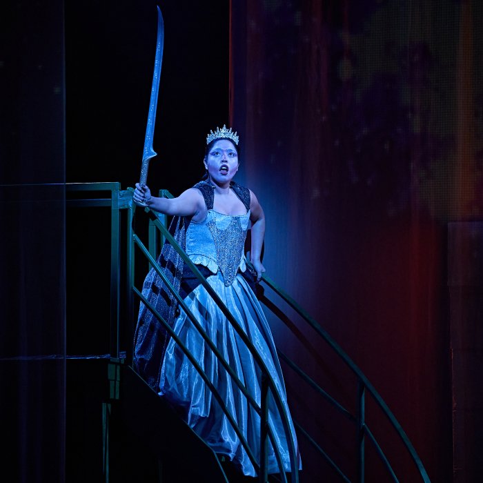 Magic Flute Opera Performer on stage with sword