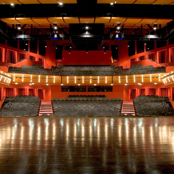 Kasser Theater view from the stage for scout location