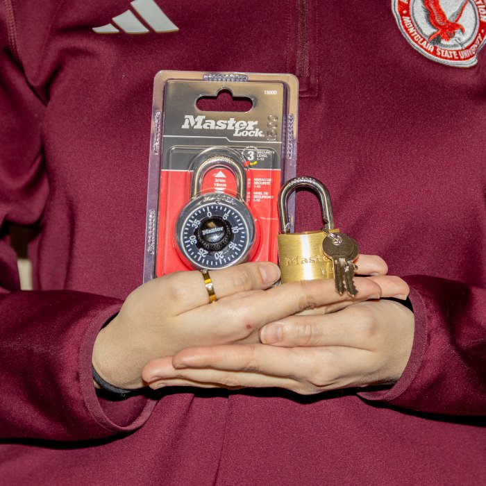 two lock variations being displayed