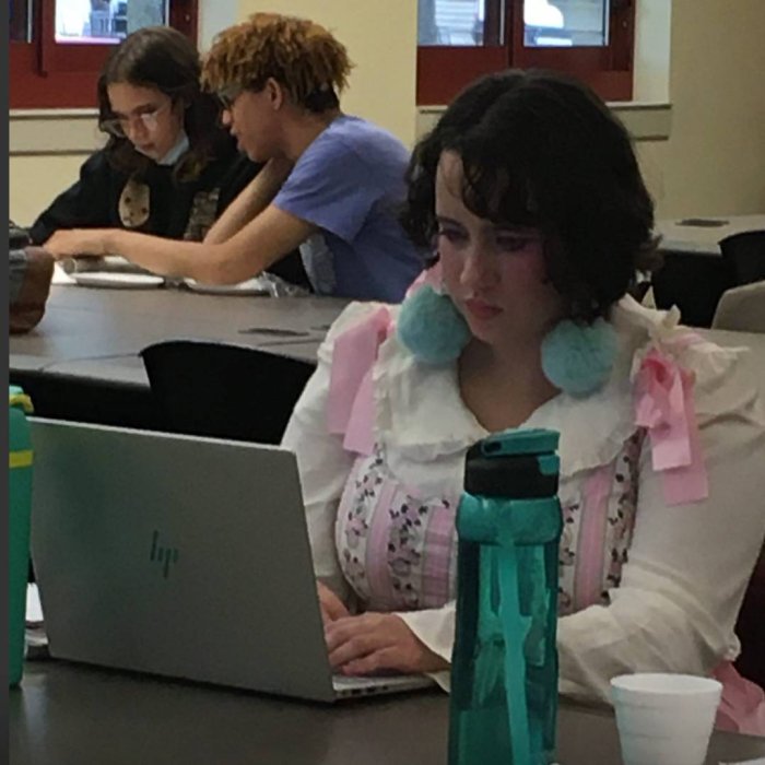 A woman types on a laptop at her desk while two other students do the same behind her