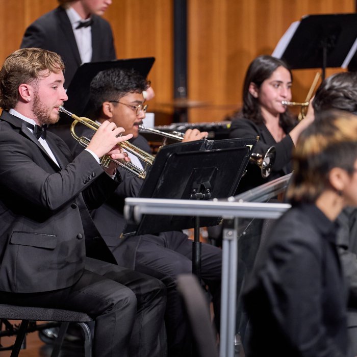 Wind symphony on stage detail