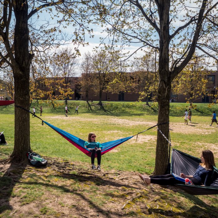 Hammock