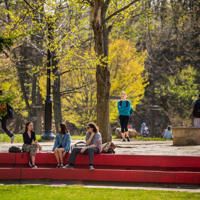 Students sitting on a ledge.