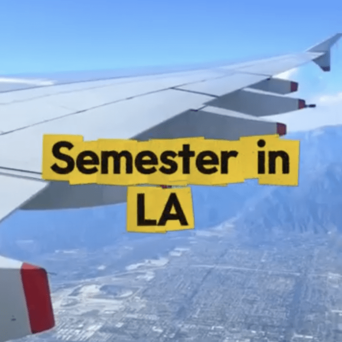 Screenshot of a plane wing with the title Semester in LA and with subtitles saying Is Totally Worth It.