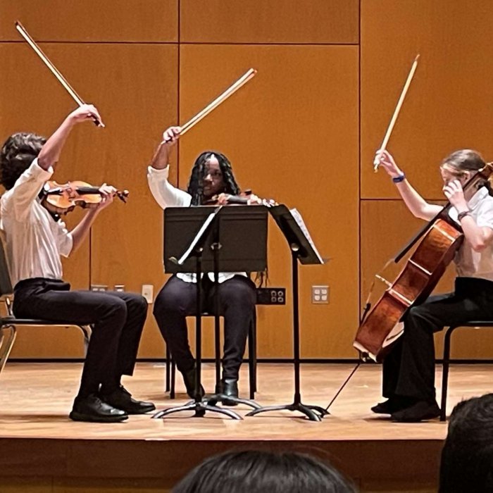 Strings camp trio on stage performing with bows in the air
