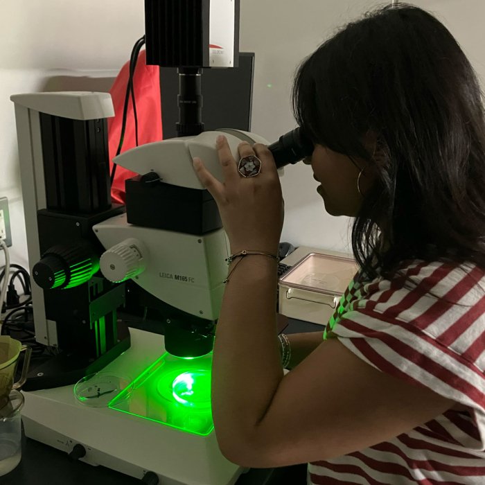 IRES 2026 participant in the lab using a microscope