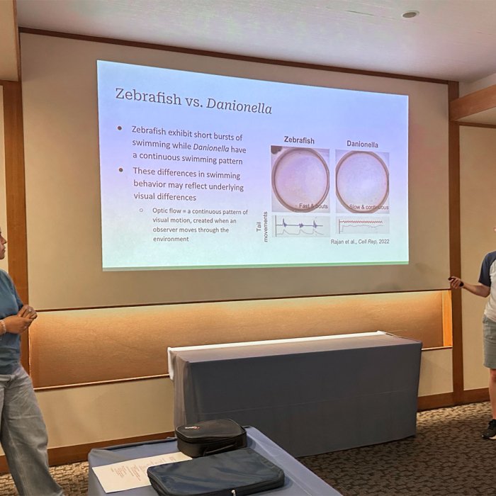 IRES 2026 students presenting 