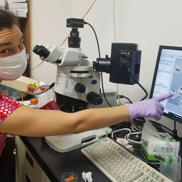 student showing sample results from under microscope