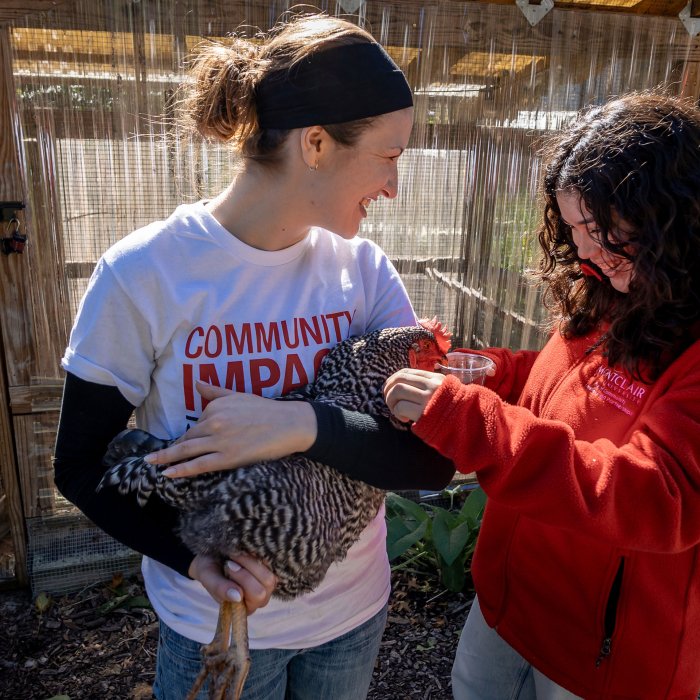 Two Montclair employees pet a hen at the Montclair History Center.