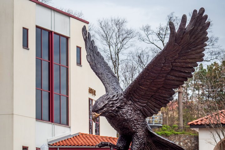 A picture of the Red Hawk statue with campus buildings in background.