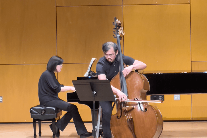 Bass performer on stage 