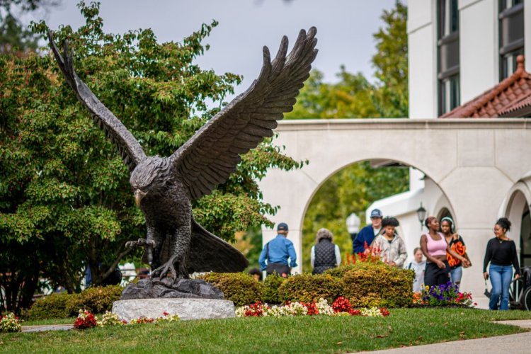 Red Hawk Statue with Cole Hall in the Background