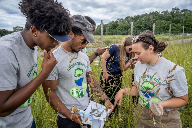 Students conducting research in a field