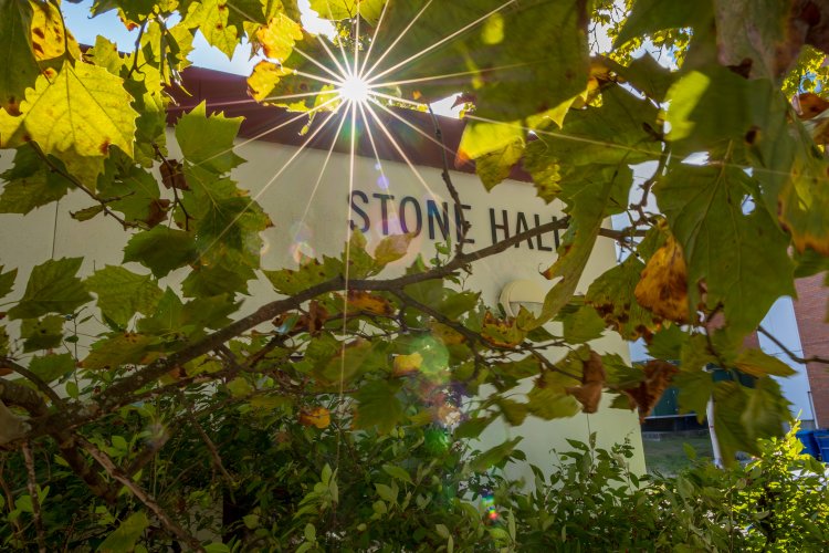 Fall Trees Outside Stone Hall