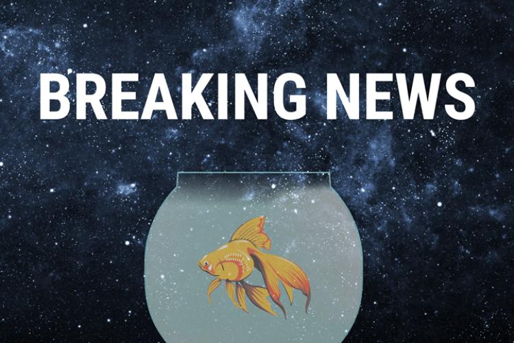 A fish in a fishbowl floating in space with a Breaking News banner