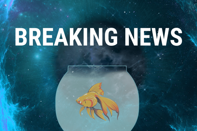 A fish in a fishbowl floating in space with a Breaking news banner