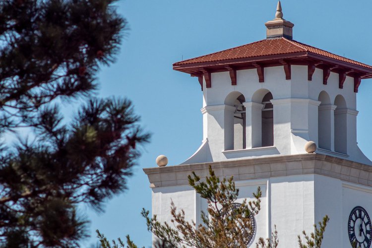 view of the top of university hall over the trees