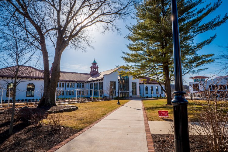 The pathway to Cole Hall flanked by trees in February